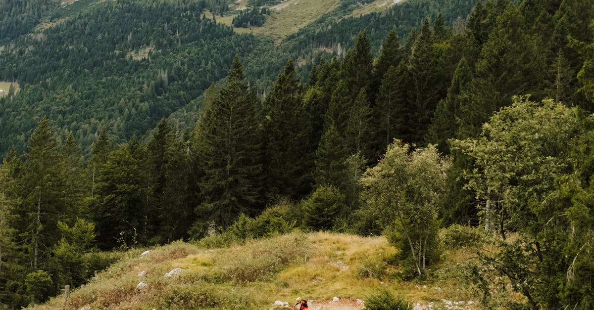 Explorarea Masivului Postăvaru: Paradisul bicicliștilor montani din România