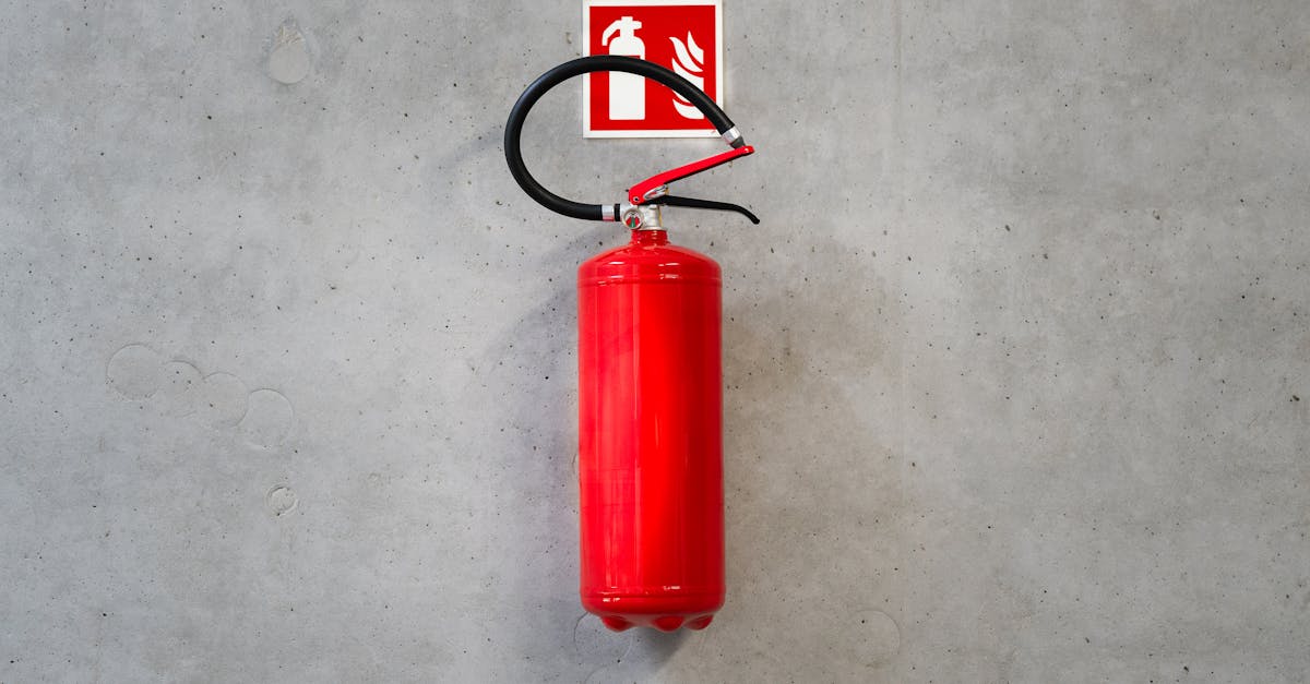 Incendiu de proporții la Avicola Târgu-Jiu: pompierii intervin rapid