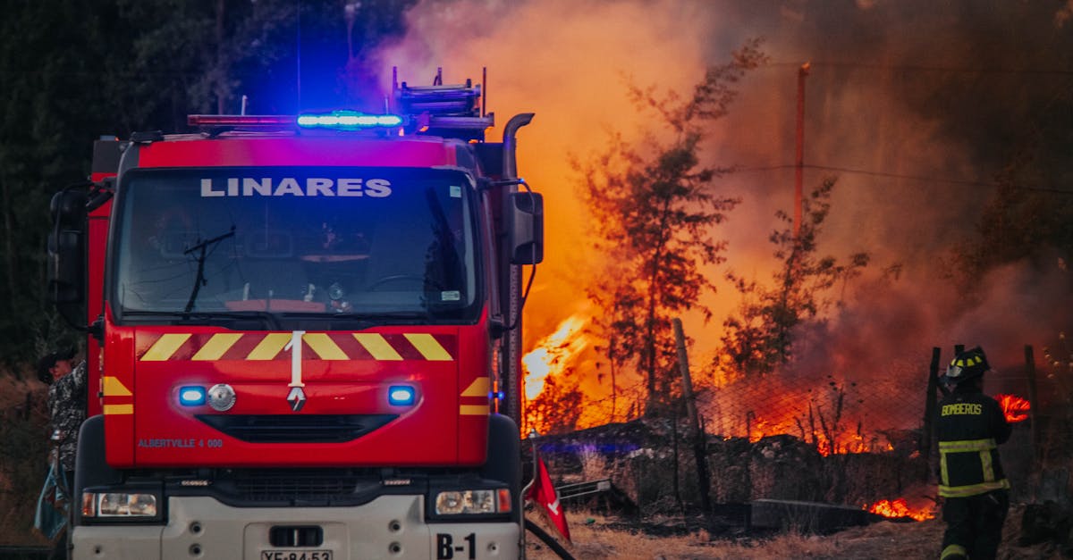Incendii devastatoare în sudul României: zeci de gospodării și fabrici în pericol