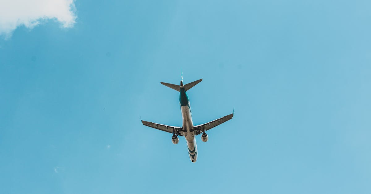 Trei străini reținuți pe aeroport după furturi la festivalul Untold