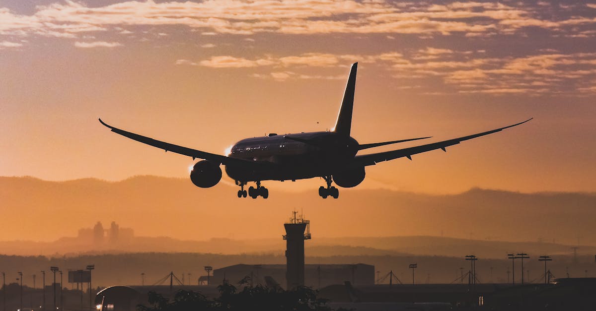 Wizz Air reintroduce zborurile din Cluj-Napoca spre Tel Aviv, biletele sunt disponibile