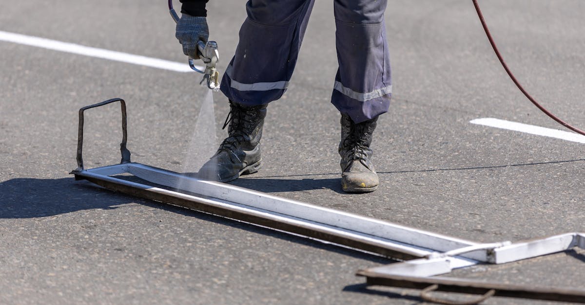 Finalizarea lucrărilor de curățare a plaselor de protecție pe autostrada A1