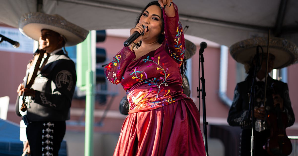 Festivalul Zilele Ardudului: un mix fascinant de folclor și muzică modernă