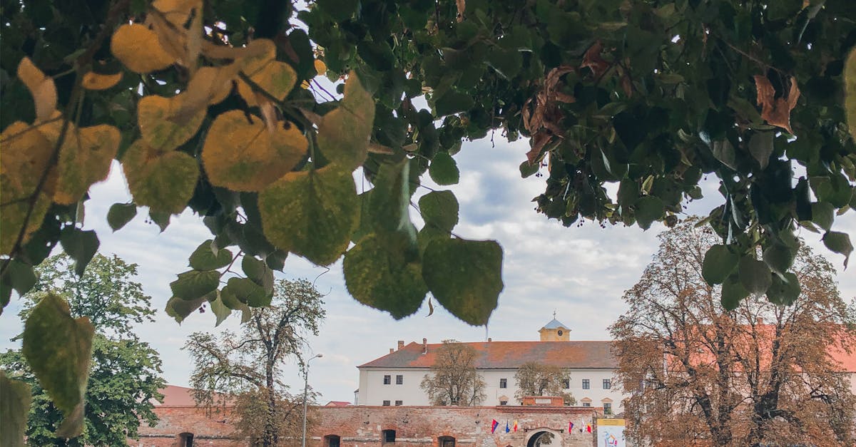 Castelul Nopcsa din Săcel, un nou început cu o expoziție captivantă
