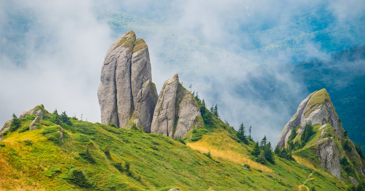 Atenție, turiști! Câinii de la stâne reprezintă un pericol pe traseele montane