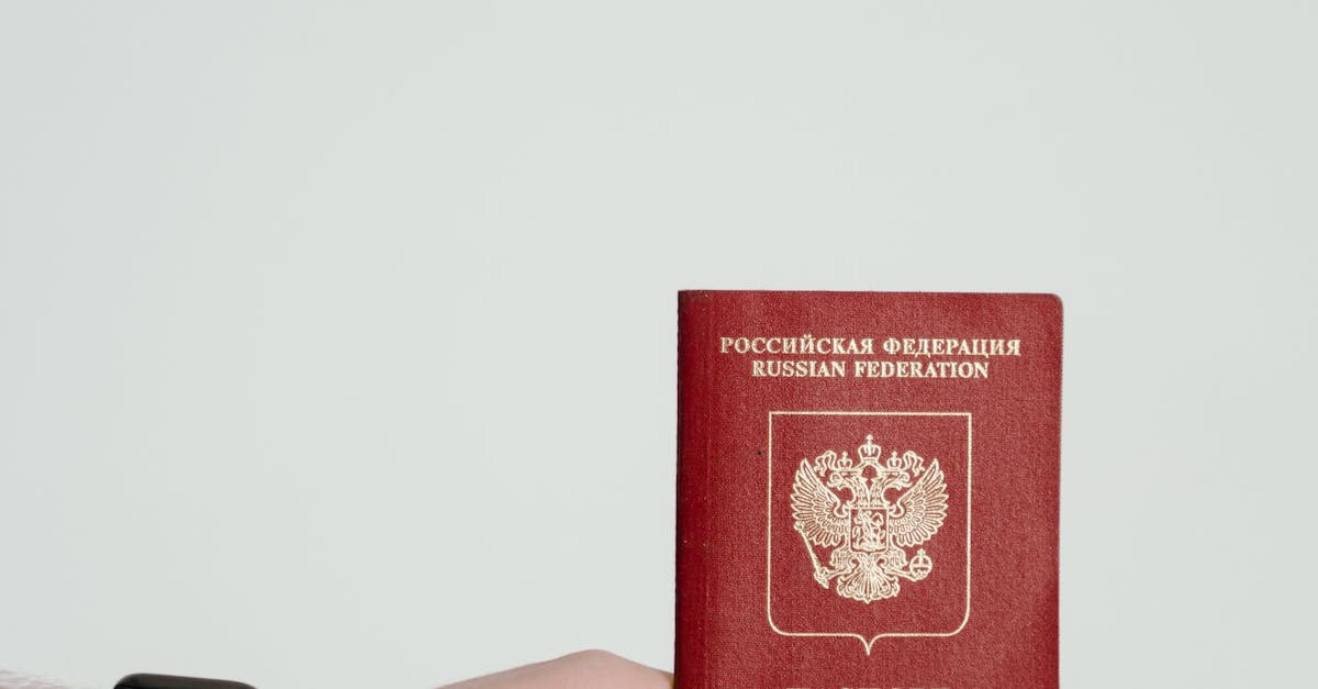 Condamnare în dosarul pașapoartelor românești pentru cetățeni ruși: doi bărbați căutați de autorități