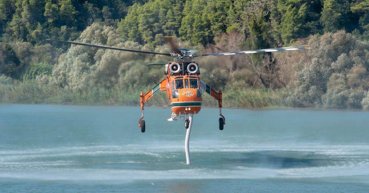 Incendii devastatoare în Europa: un român își pierde viața încercând să salveze caii