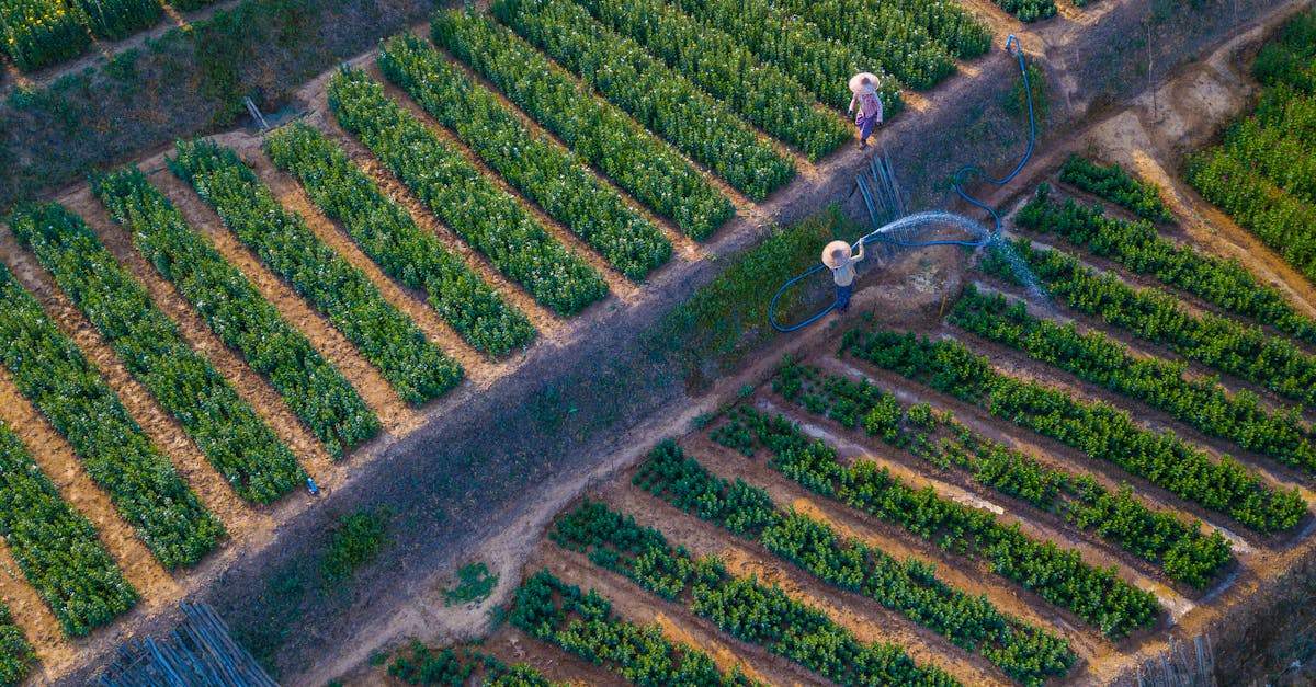 Investiții strategice în agricultura județului Galați: vizita ministrului Agriculturii