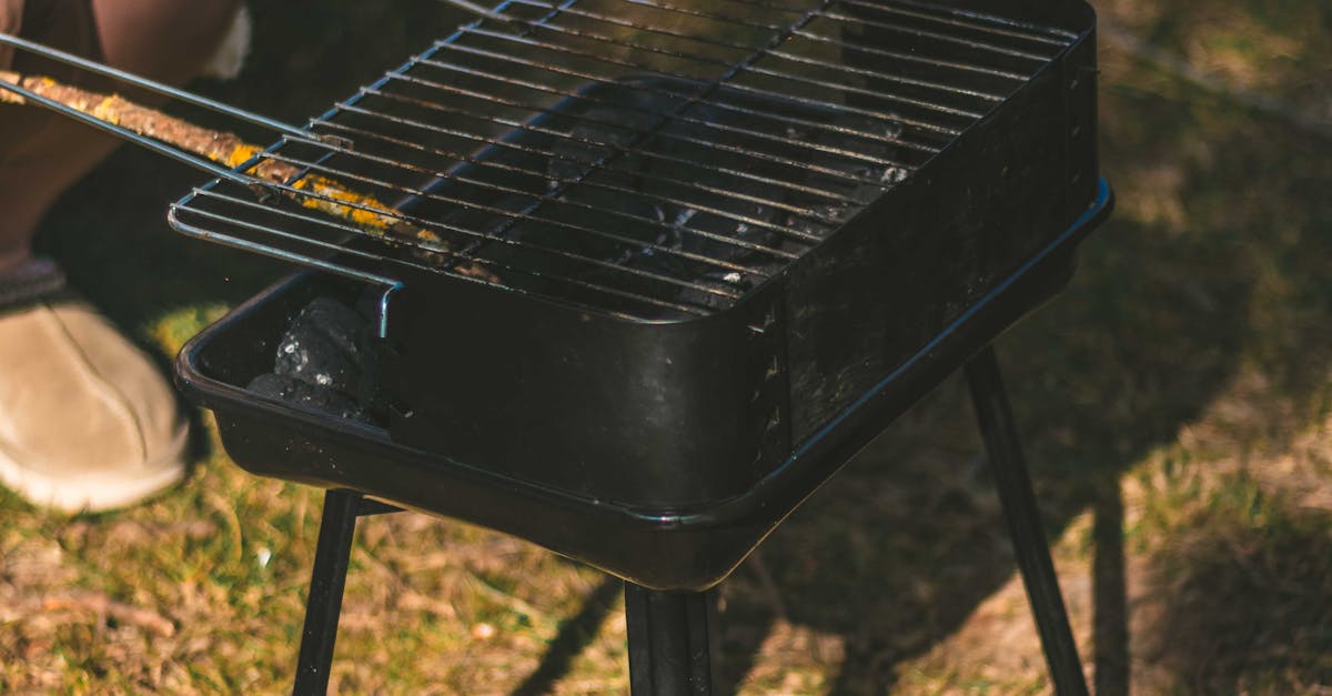 Descoperă LotusGrill: grătarul inovator pentru iubitorii de natură