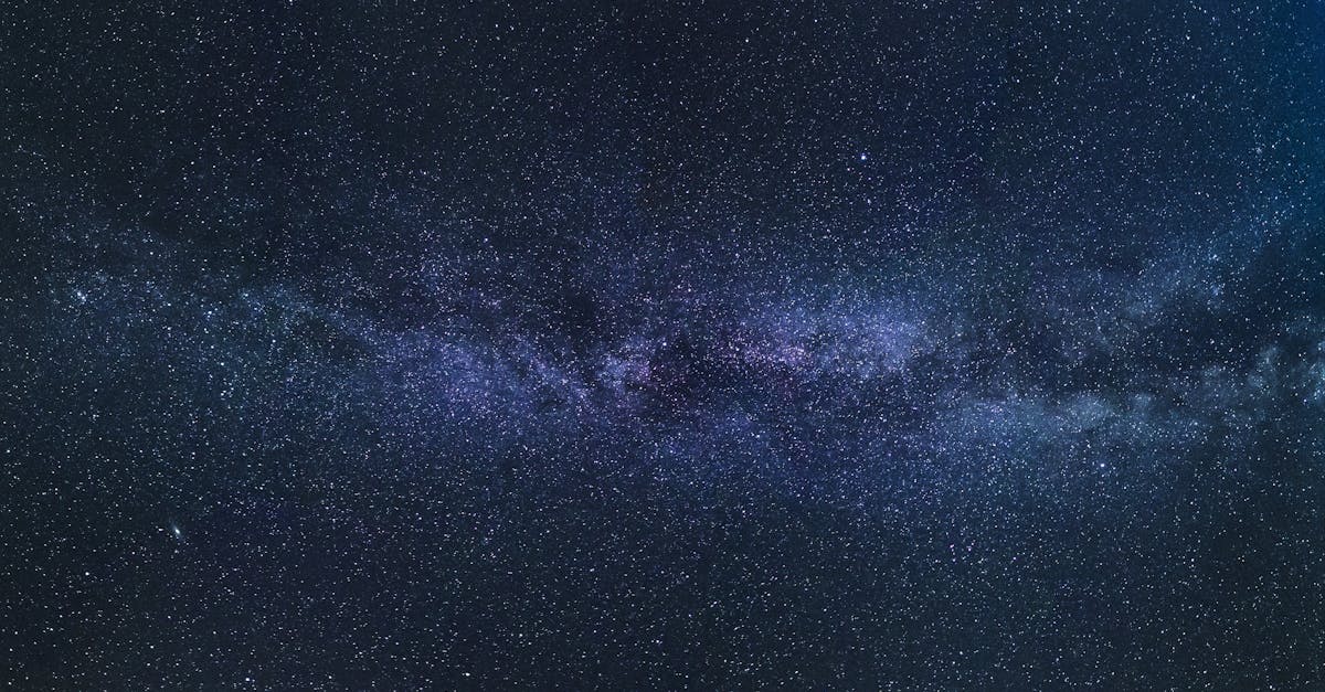Bucureștenii admiră ploaia de stele cu telescopul mobil