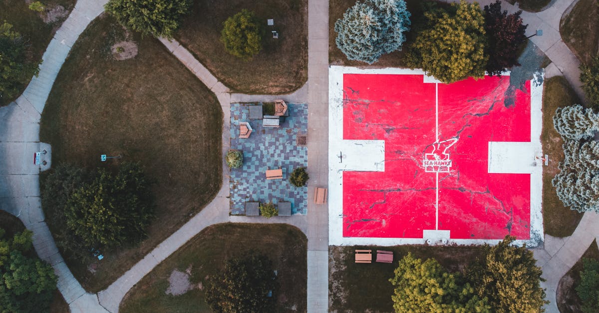 Investiție majoră în parcul Aurel Vlaicu din Arad