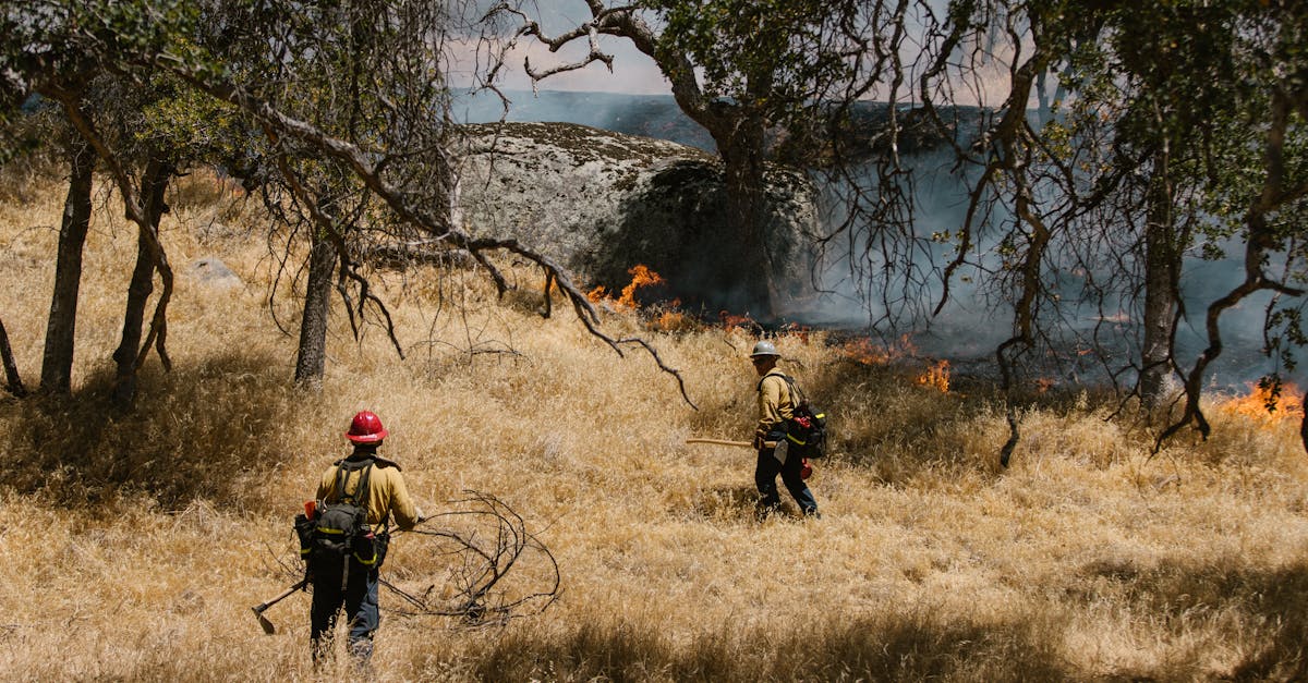 Atenție pe timpul călătoriilor în Spania: risc crescut de incendii de vegetație