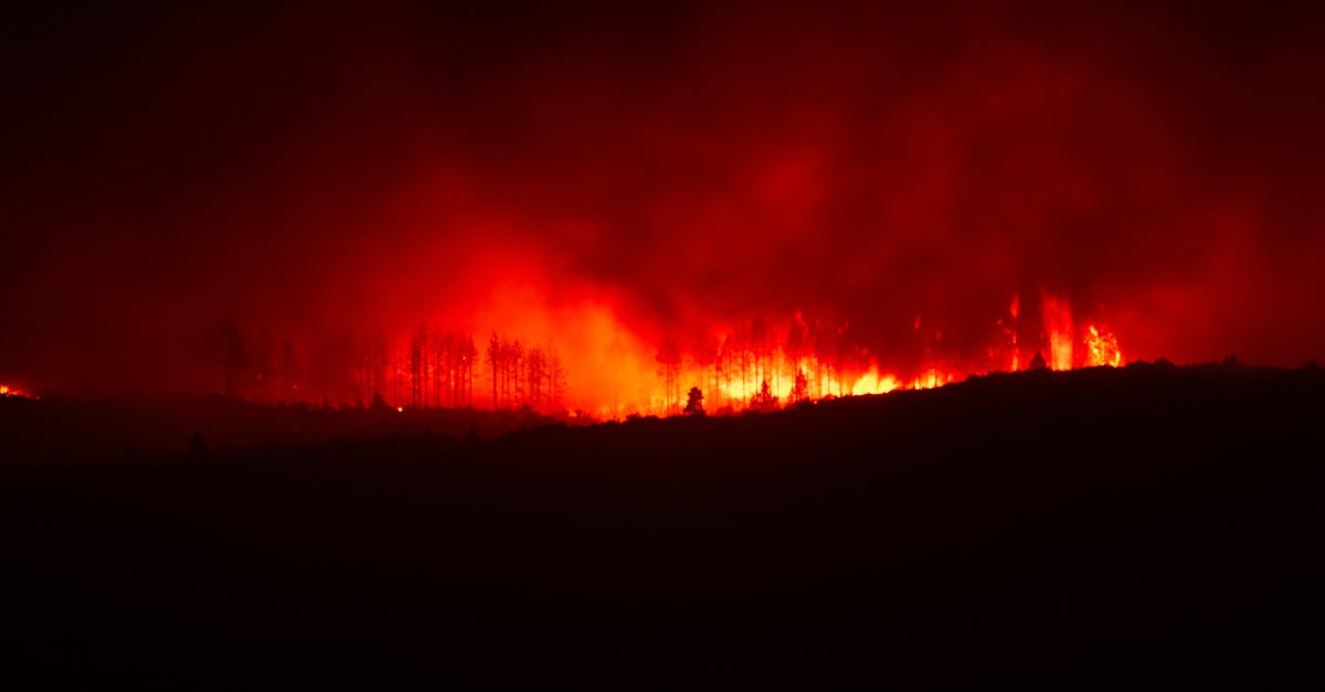 Incendiile devastatoare din Europa: Grecia și Spania în alertă maximă