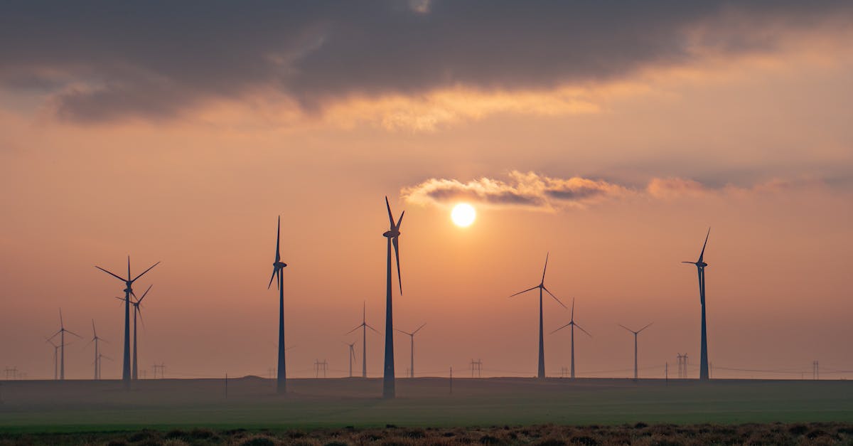România depășește obiectivul de energie regenerabilă cu 2751 MW în noua licitație