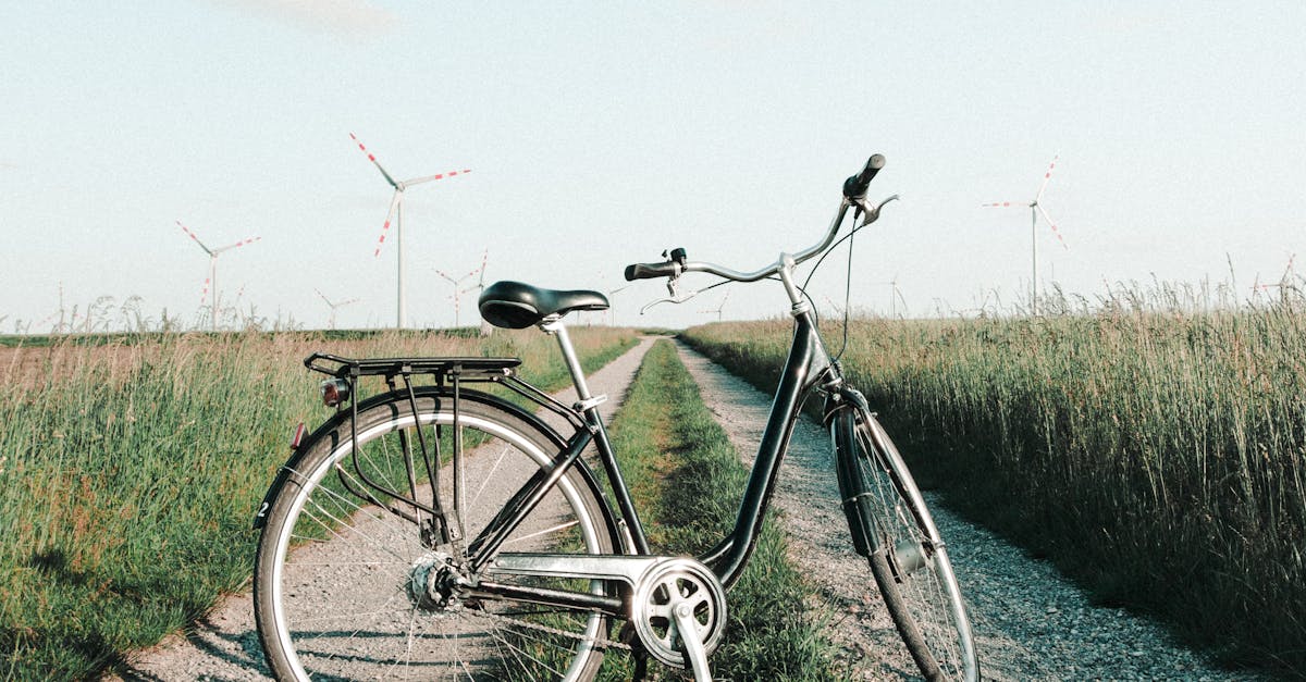 Nouă pistă de biciclete va conecta Băile Felix de Padiș