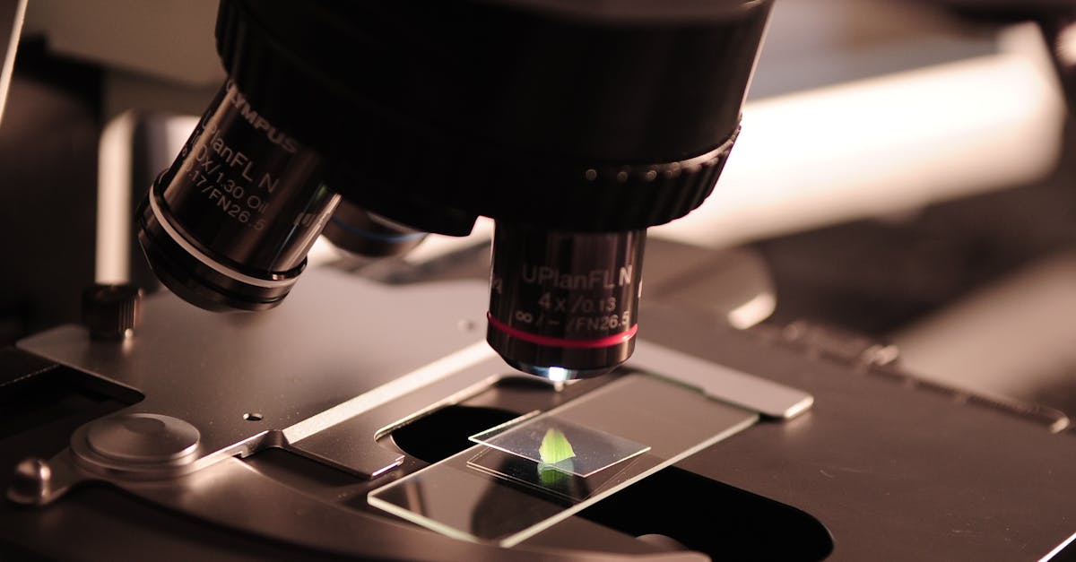 Cel mai mare centru de simulare și chirurgie experimentală din Europa, în construcție la Cluj
