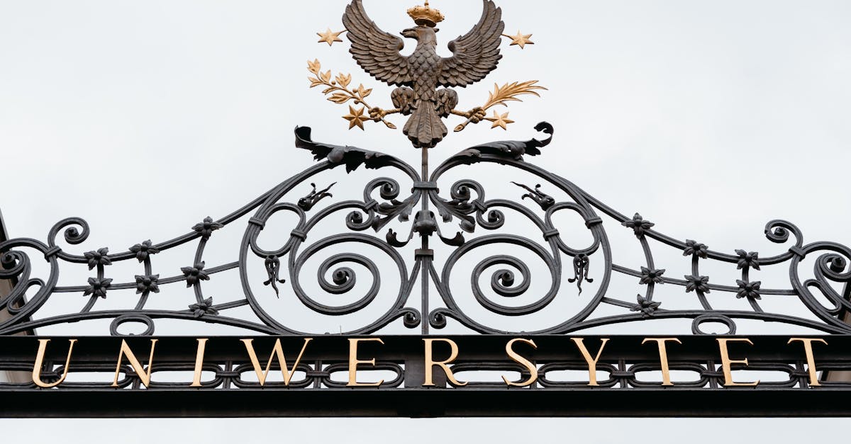 Mureș investește în microbuze electrice pentru elevi: detalii despre achiziții