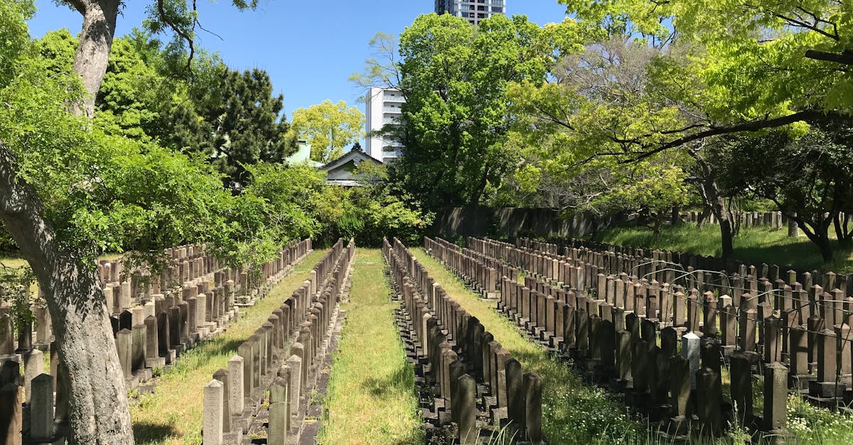 Târgoviște se pregătește pentru un nou cimitir eparhial