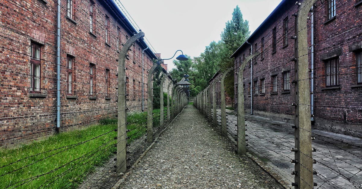 Controverse în Japonia: Ministrul Agriculturii vizitează sanctuarul Yasukuni la 80 de ani de la capitularea țării