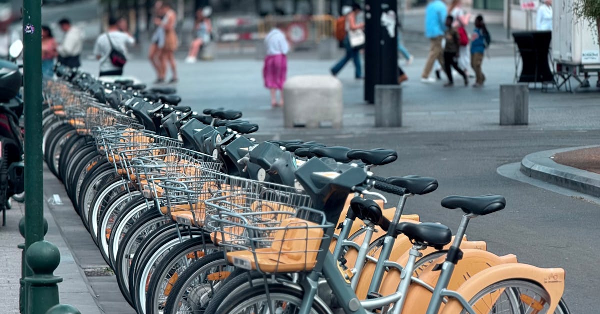 Un primar se auto-petitionează pentru un abonament la parcările de biciclete