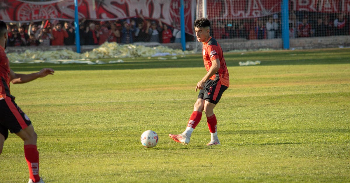 Superliga: Rezultatele și programul meciurilor din etapa 6