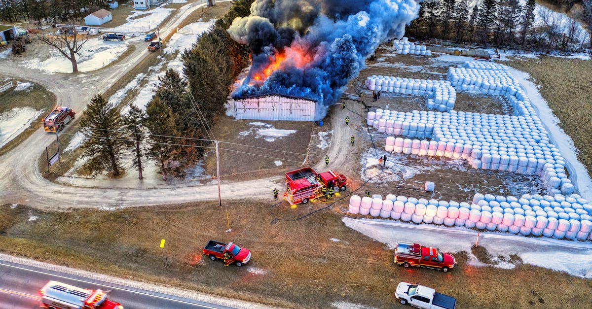 Incendiu devastator la depozitul Sameday din Iași: 50 de pompieri mobilizați