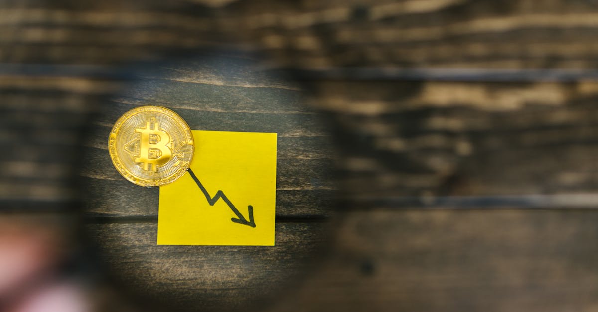 Gemini, bursa de criptomonede, anunță pierderi înainte de listarea la Nasdaq