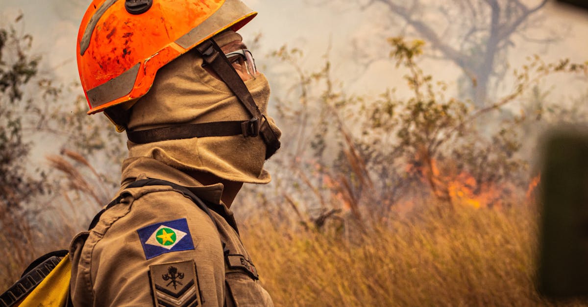 Incendiu devastator la o cabană din Cisnădioara: cauza și detalii