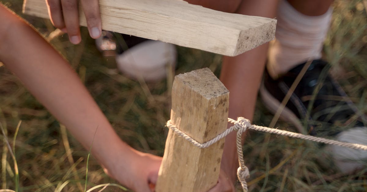 Tabăra de jurnalism pentru copii: o aventură educativă în munții Neamțului