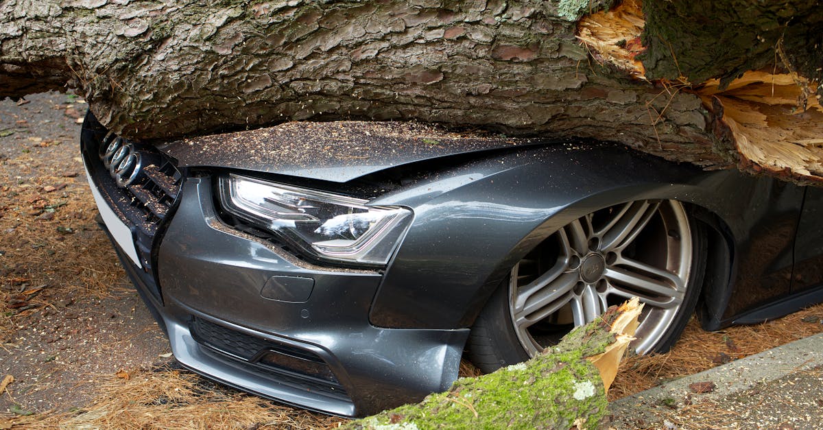 Accident grav pe un drum forestier: doi bărbați răniți după o defecțiune tehnică