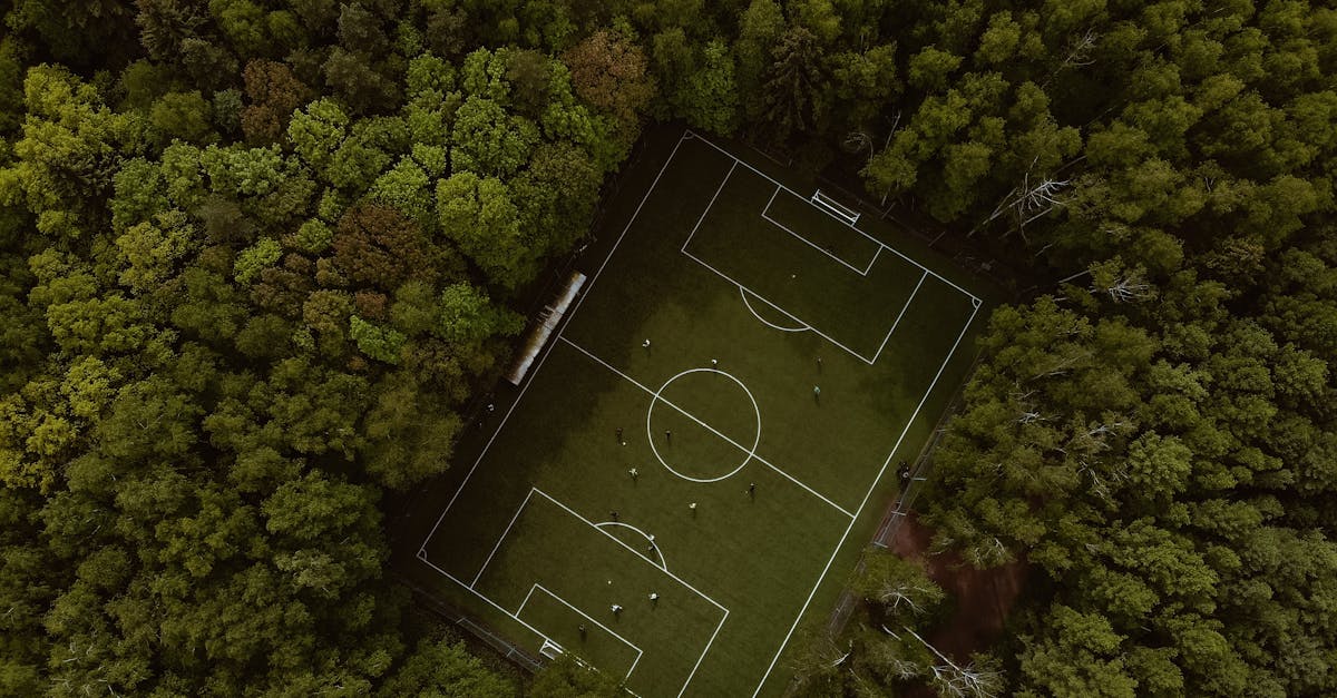 ASA Târgu Mureș triumfă cu 4-0 în fața Olimpiei Satu Mare
