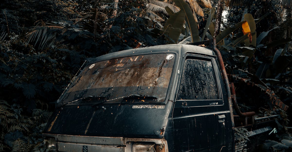 Descoperire misterioasă în Munții Apuseni: o mașină abandonată cu topor în interior