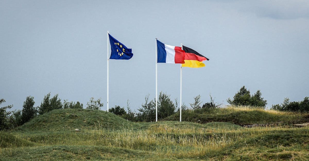 Negocieri cruciale la Casa Albă: liderii europeni se unesc pentru pacea în Ucraina