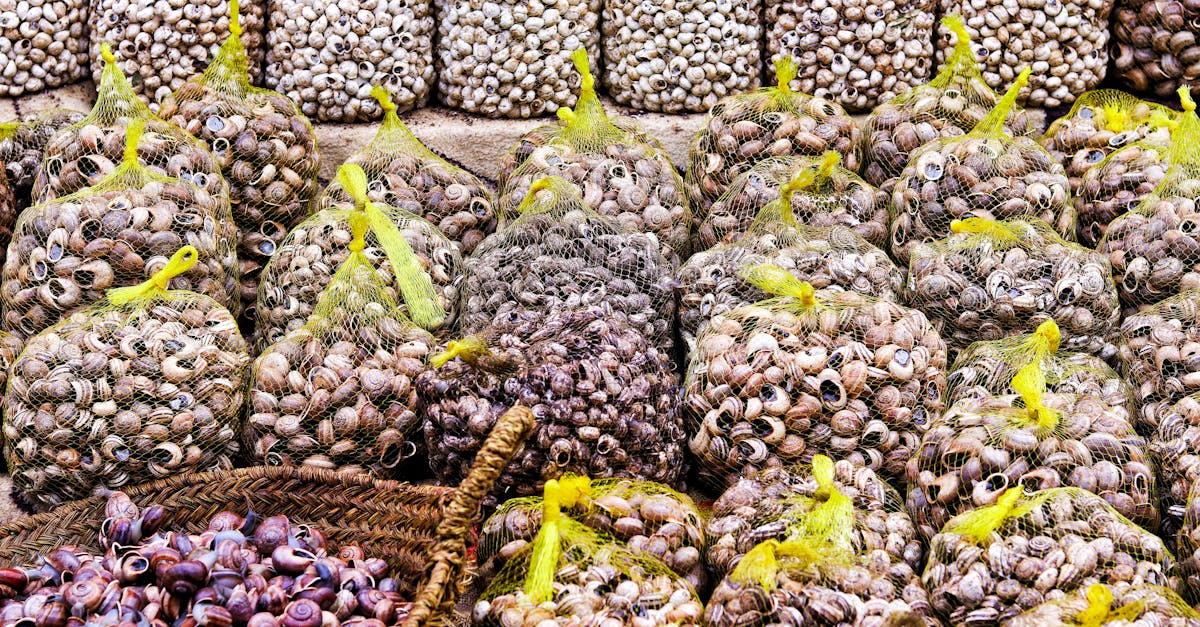 Cererea pentru trufele românești crește, prețurile ajung la 4.000 de euro pe kilogram
