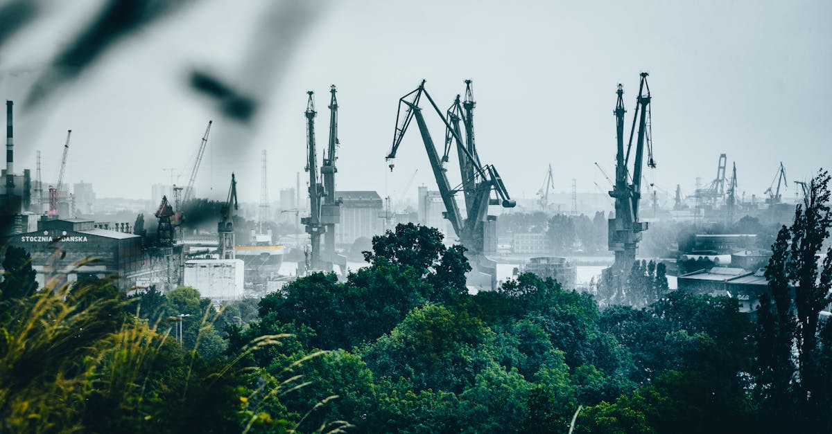 Scăderea drastică a exporturilor rusești de energie: impactul sancțiunilor