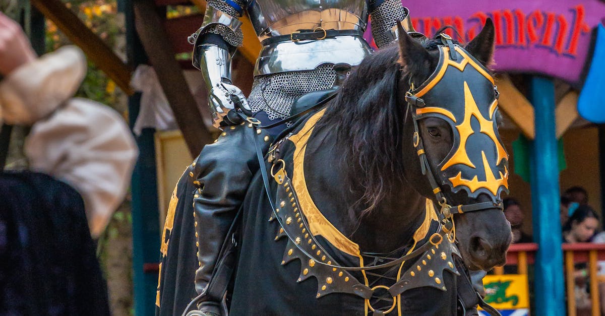 Întoarcerea în Evul Mediu: Teutonic Fest Honigberg revine la Hărman