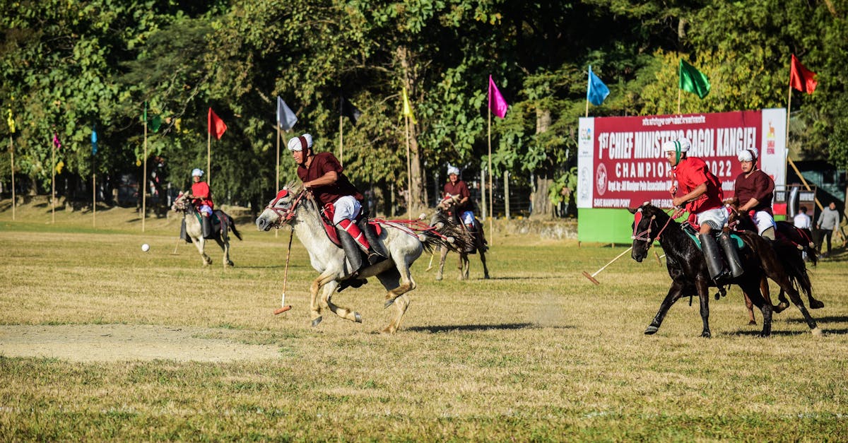 CSM Sibiu triumfă la campionatul național de echitație