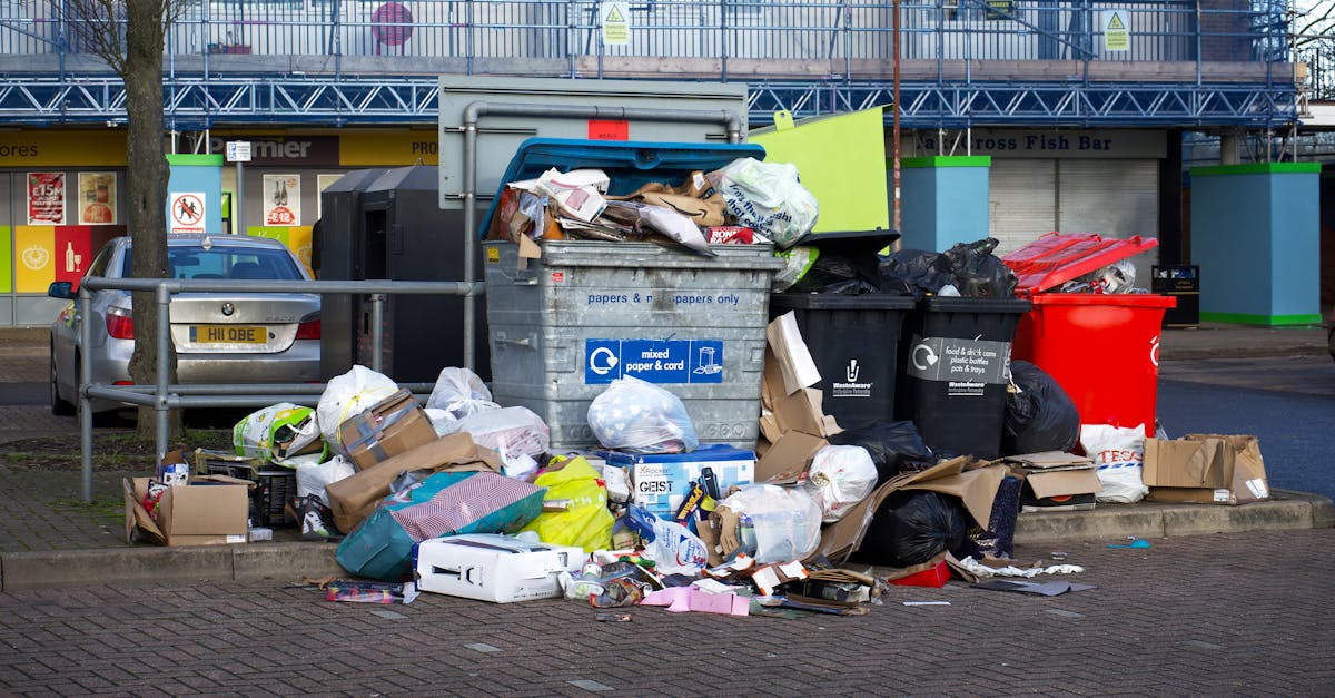 Inovație ecologică în București: un nou sistem pentru reciclarea ambalajelor