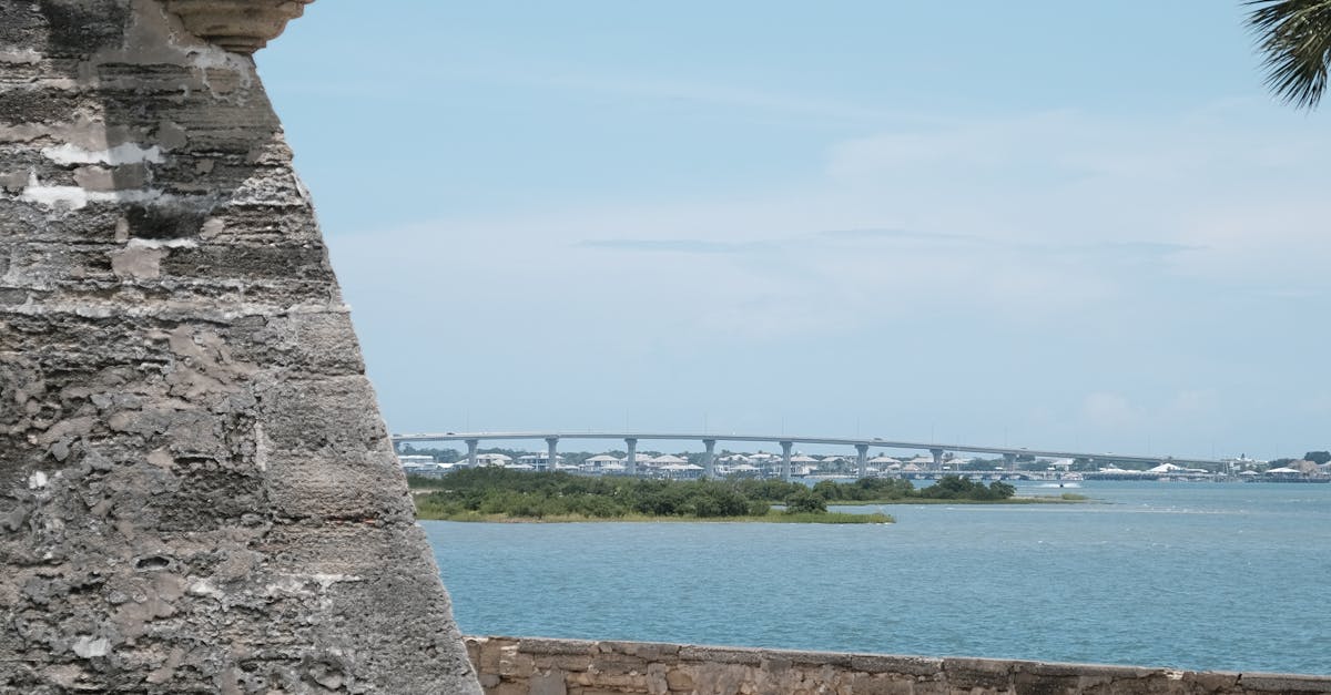 Experiența neplăcută a unei turiste pe Airbnb în Florida: murdărie și reacții controversate