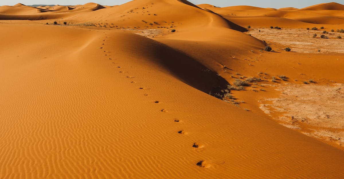 Marocul se confruntă cu un val de căldură record în Sahara