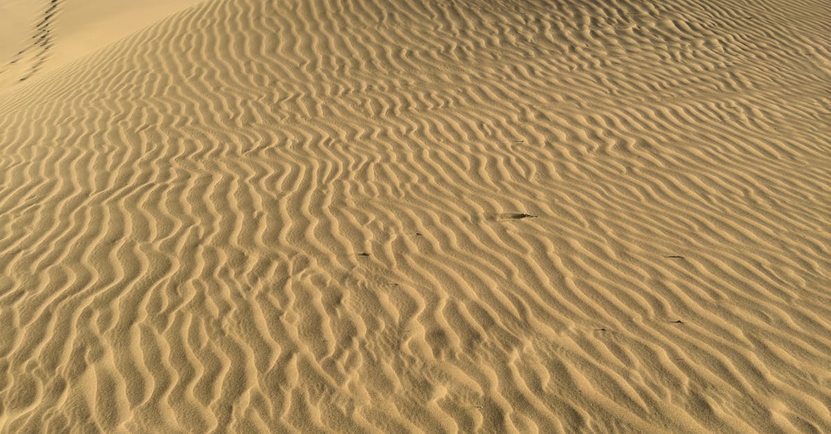 Sahara Occidentală stabilește un nou record de căldură în august