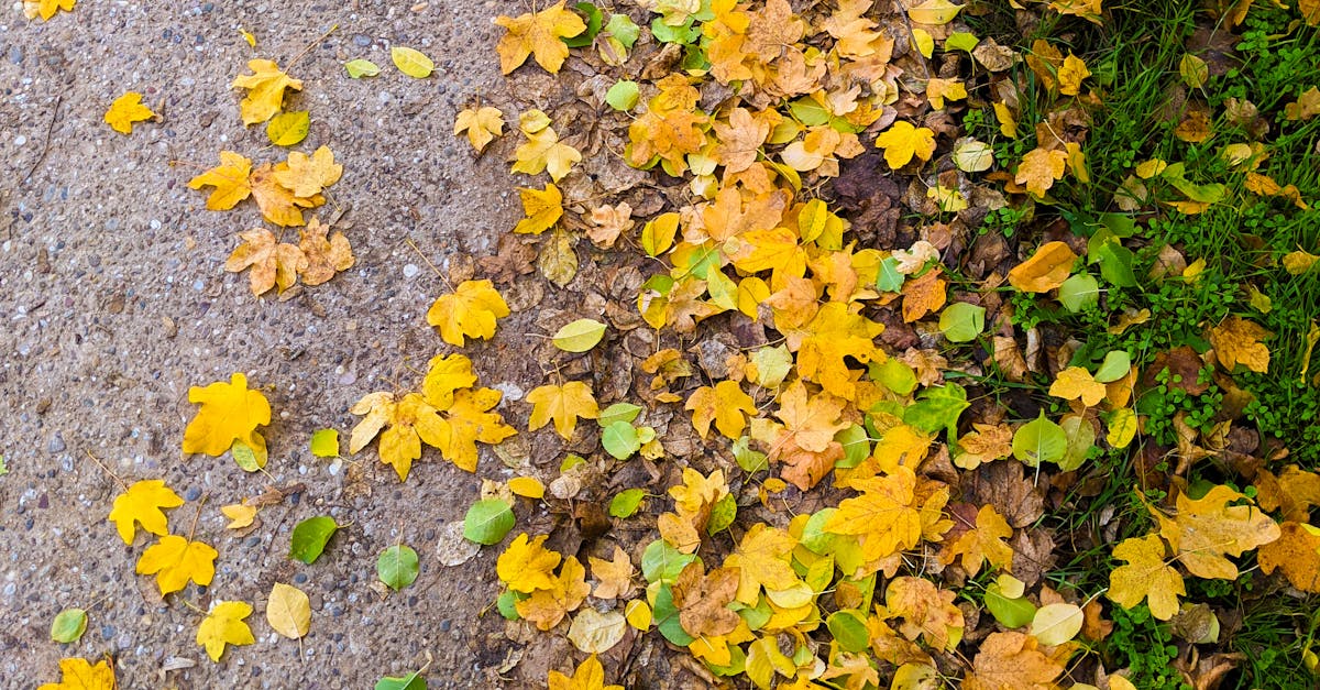 Vara se încheie: prognoza meteo anunță răcirea vremii în septembrie