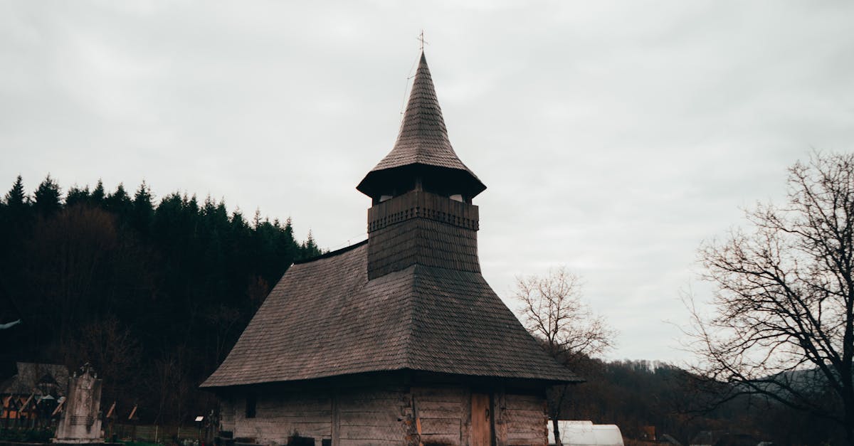 Diplomați străini vizitează Muzeul Satului din Baia Mare pentru a celebra tradițiile locale