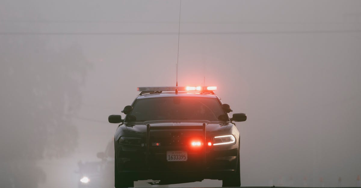 Test al Poliției Neamț: Observarea atelajelor hipo nesemnalizate pe timp de noapte