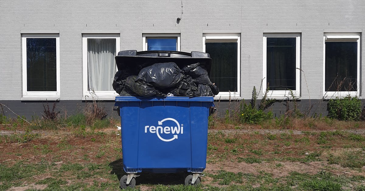 Inovație românească în salubritate: WAVE Bin, prima europubelă inteligentă
