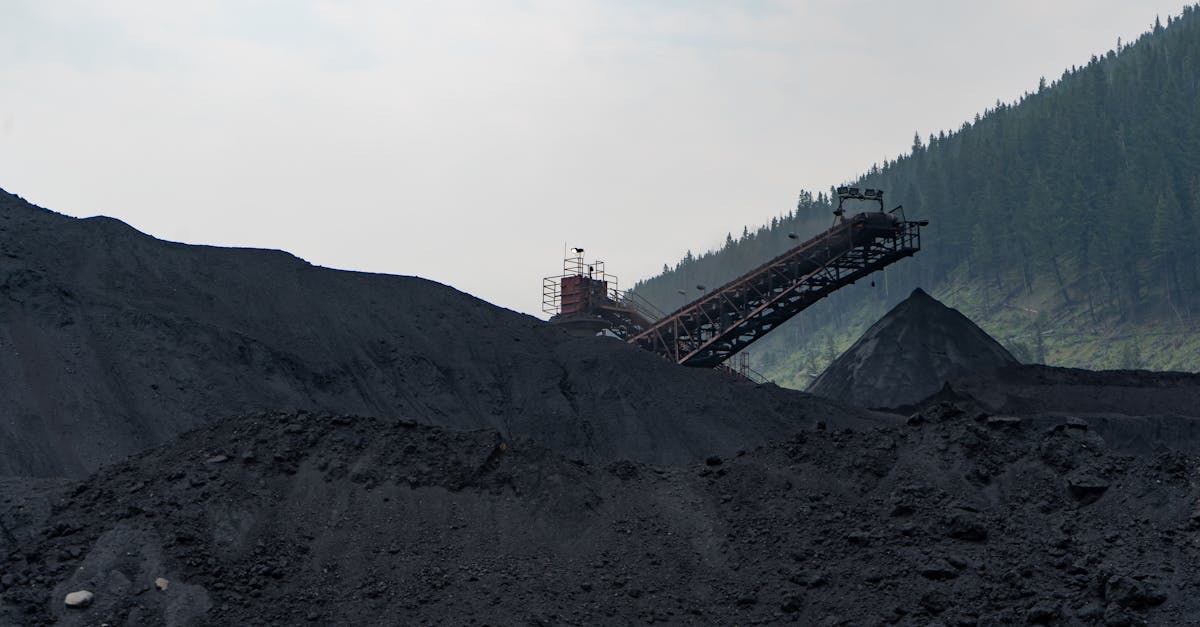 Conflictul între energie pe cărbune și sustenabilitate: reacții din Oltenia