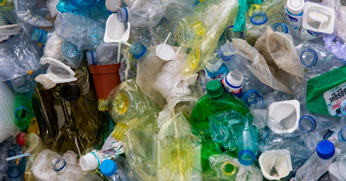Băile Olănești investește în insule ecologice digitalizate pentru un mediu mai curat