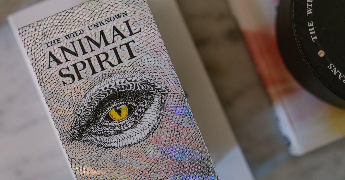 Ce zodii vor prospera cu Luna Nouă în Fecioară: descoperă norocul financiar și provocările