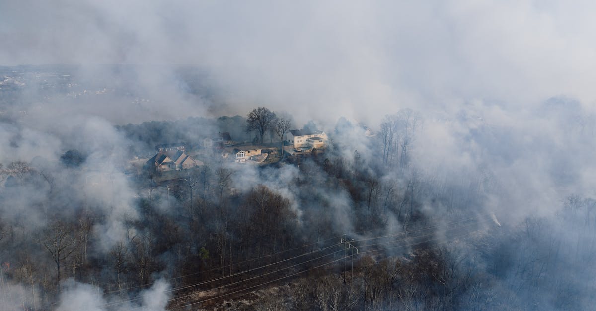 Spania se confruntă cu incendii devastatoare: localnicii luptă pentru casele lor