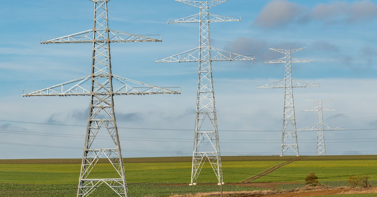 Licitație de 465 milioane lei pentru modernizarea rețelelor electrice din Dobrogea